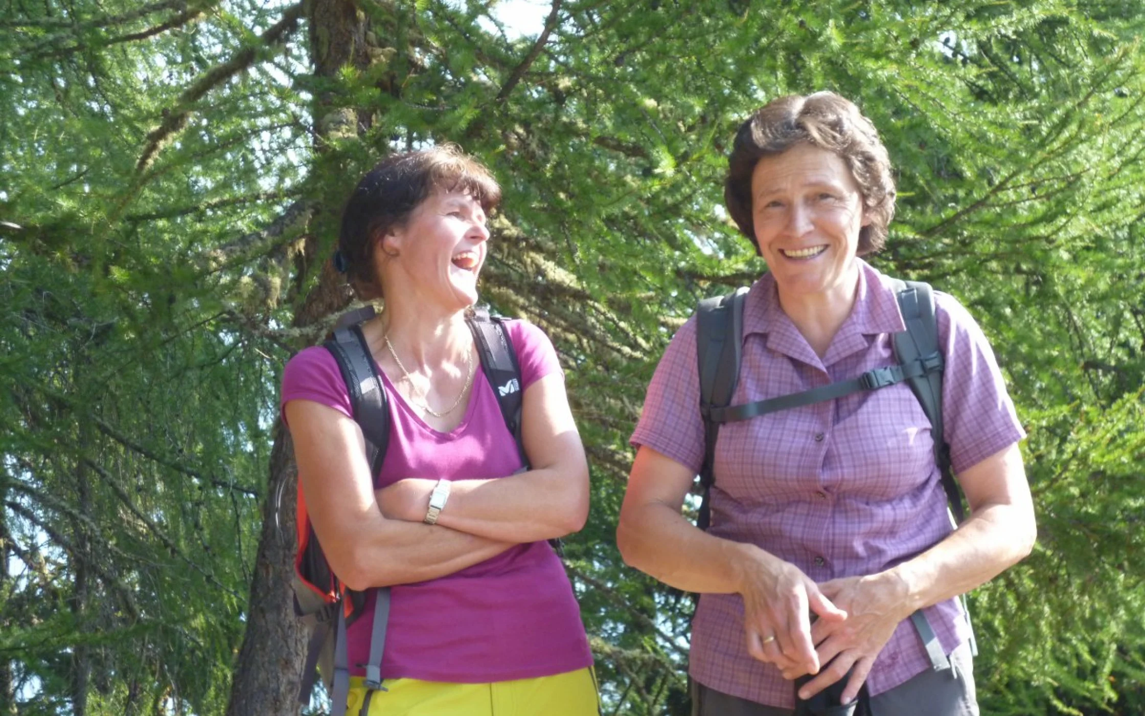 SBO-Vinschgau Sommerwanderung 2015 3_1200x800.JPG